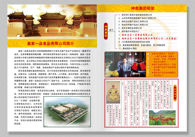 畫冊設計