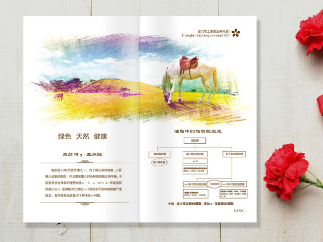 亞麻籽油 宣傳畫冊設(shè)計