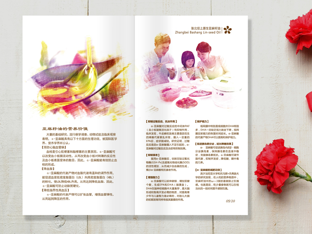 亞麻籽油 宣傳畫冊設(shè)計