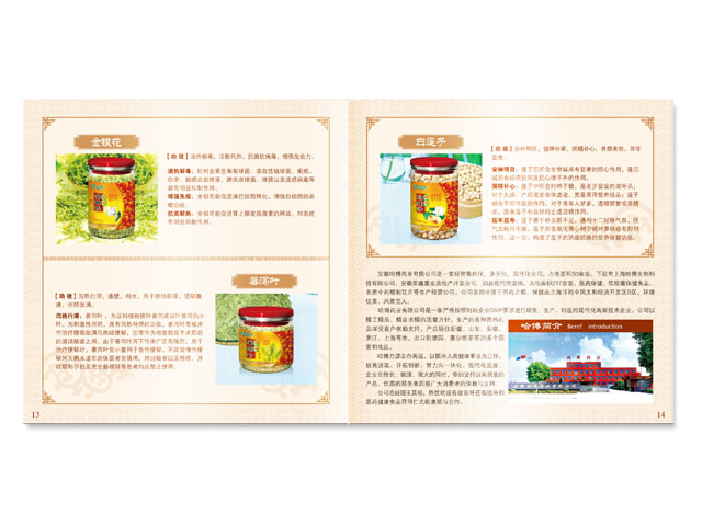 保健品 畫冊設(shè)計