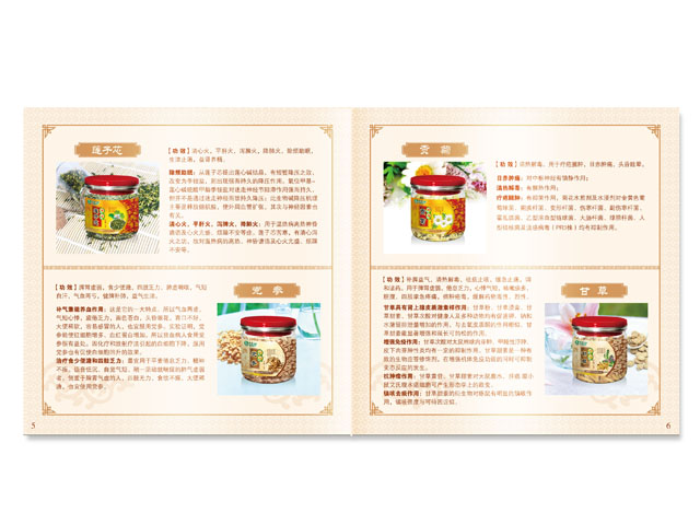 節(jié)能公司 畫冊設(shè)計