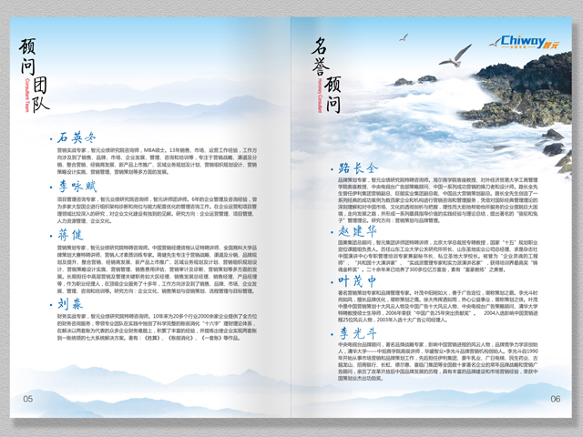 智元集團(tuán) 宣傳冊設(shè)計(jì)