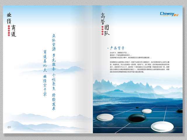 智元集團(tuán) 宣傳冊設(shè)計(jì)